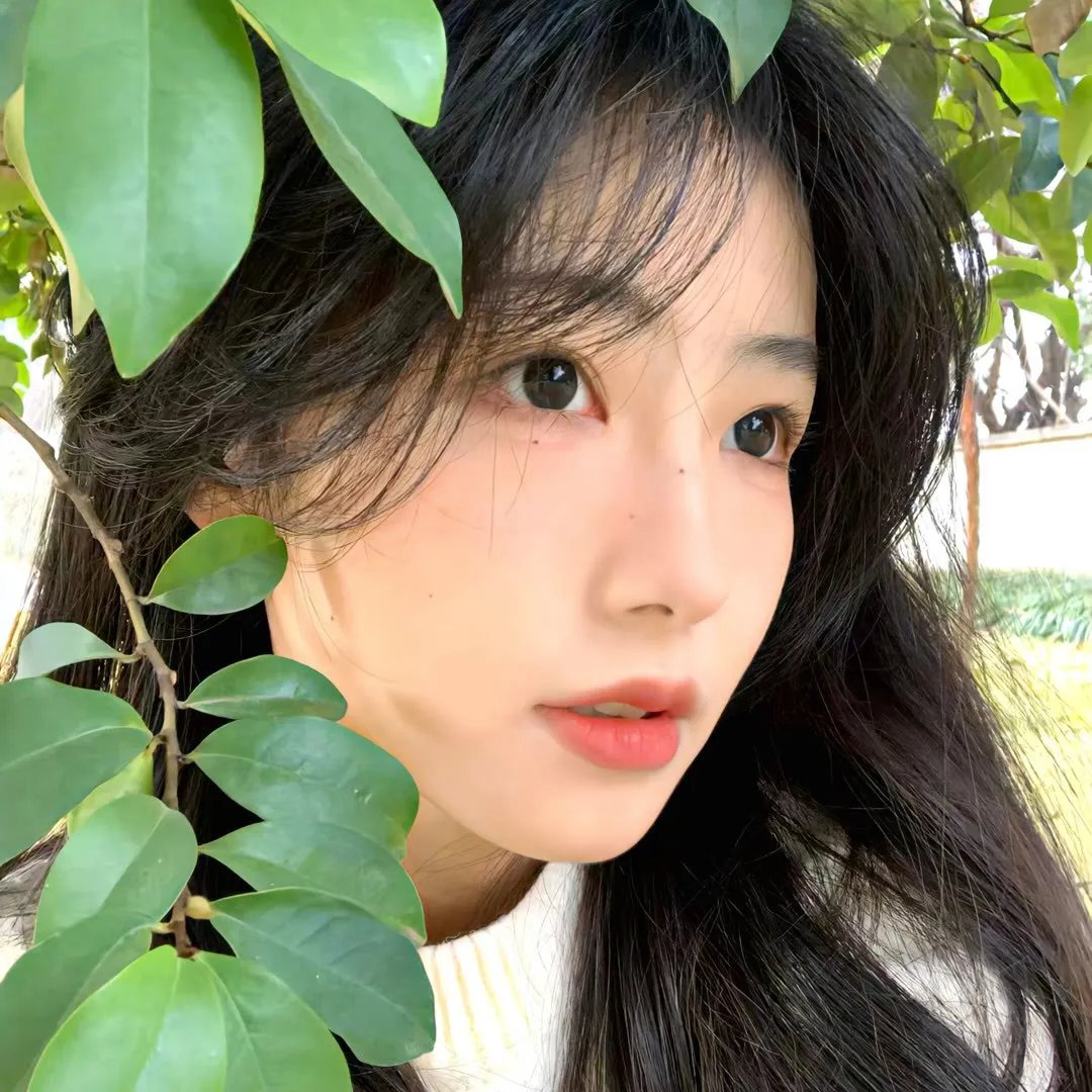 分手的决心